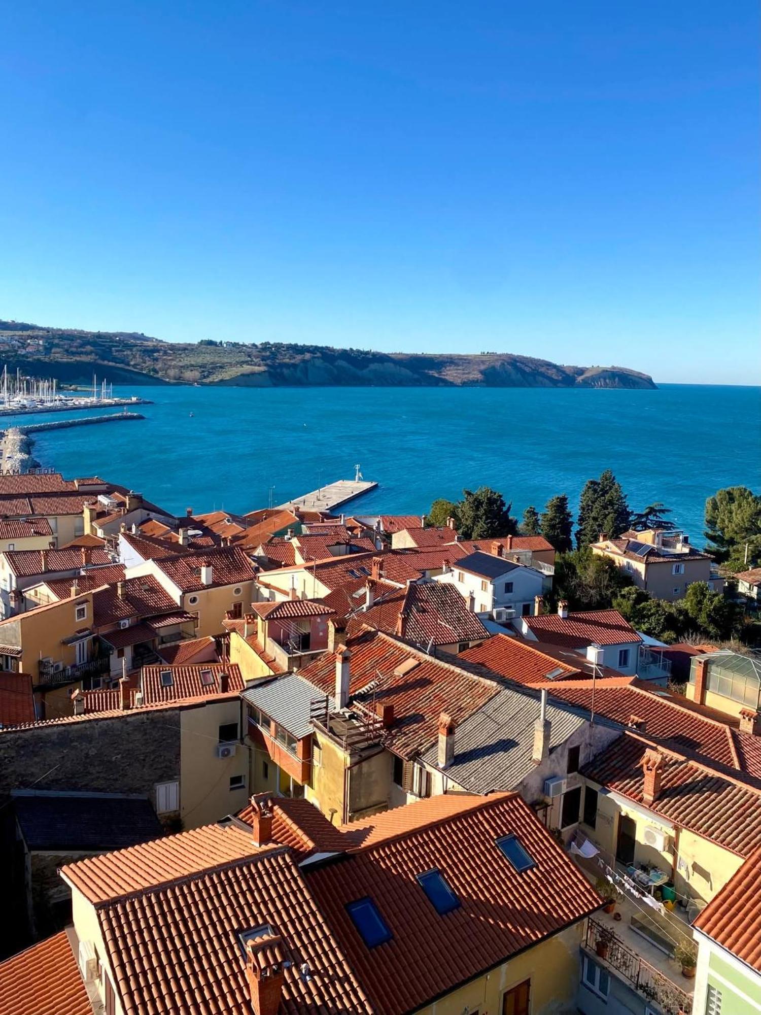 Apartma Rea Izola, Pergola & Terassa, Parking Номер фото